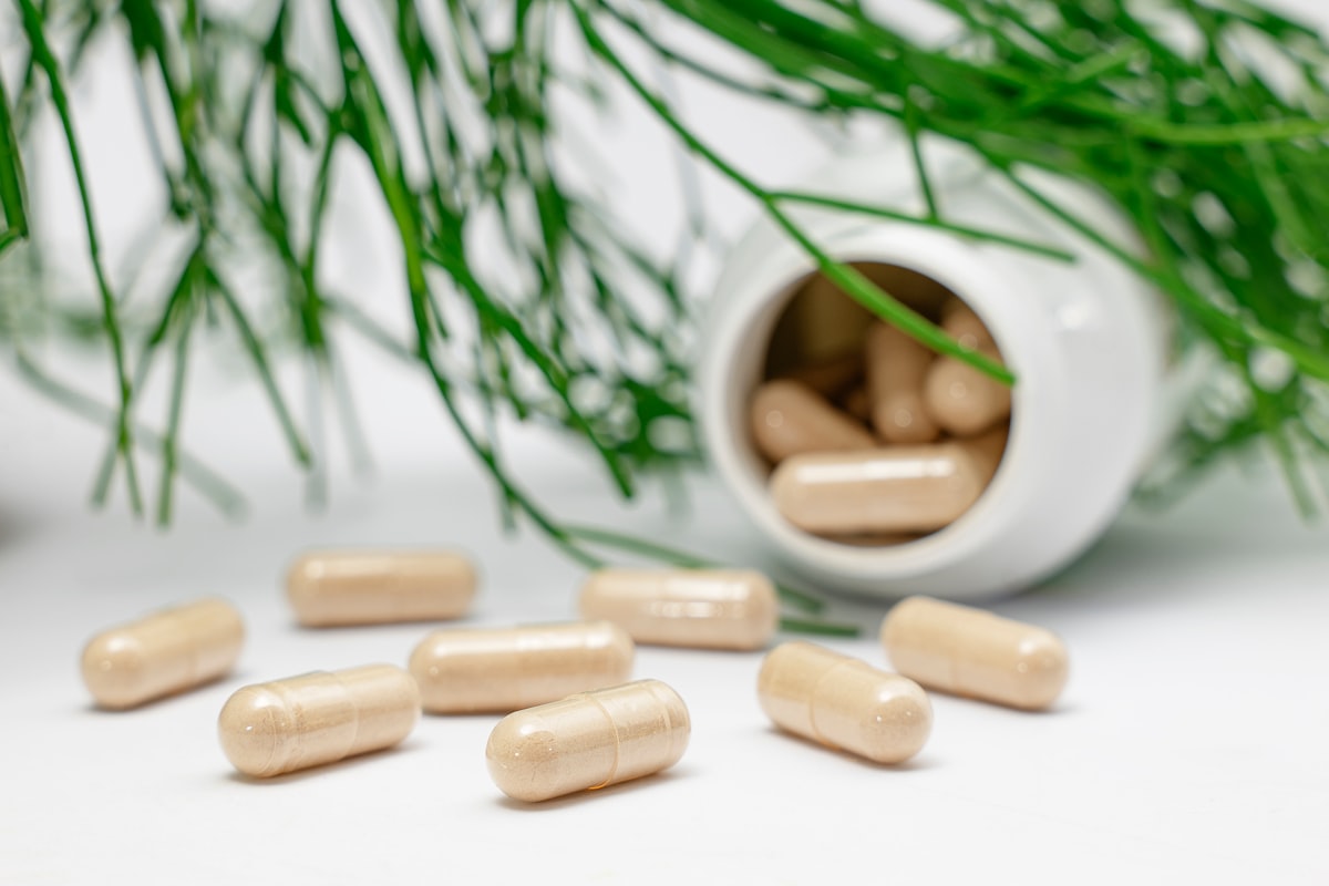 Joint Mobility Blend